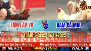 Trận 16 CPC5 10/11/2025 - Anh Lâm Lấp Vò Và Anh Nam Cà Mau