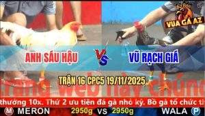 Trận 16 CPC5 19/11/2025 - Gà Chuối Anh Vũ Rạch Giá Đâm Cựa Bao Phê