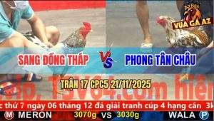 Trận 17 CPC5 21/11/2025 - Gà Anh Sang Đâm Gà Anh Phong Hộc Máu Bay Bồ