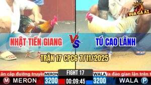 Trận 17 CPC6 7/11/2025 - Anh Nhật và Anh Tú Ngang Tài Ngang Sức