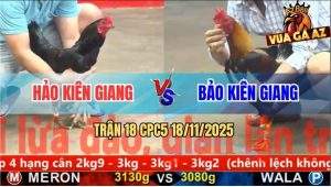 Trận 18 CPC5 18/11/2025 - Ô Ướt Anh Hảo Siết Tăng 1 Điều Ra Máu Lỏng