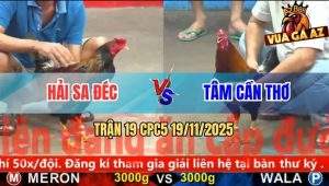 Trận 19 CPC5 19/11/2025 - Gà Anh Tâm Đá Đúng Chân Phân Định Thắng Thua