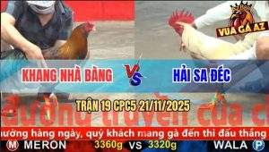 Trận 19 CPC5 21/11/2025 - Bướm Thái Mỹ Anh Hải Sa Đéc Đâm Như Chỉa