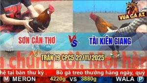 Trận 19 CPC5 22/11/2025 - Điều Xanh Gãy Giò Gồng Cứu Chủ Không Thành