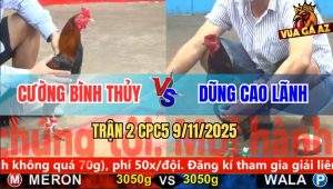 Trận 2 CPC5 9/11/2025 - Anh Cường Bình Thủy Và Anh Dũng Cao Lãnh