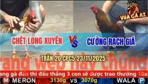 Trận 20 CPC5 23/11/2025 - Gà Điều Quá Lực Đá Camelo Kêu Trời Kêu Đất