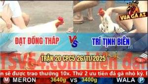 Trận 20 CPC5 26/11/2025 - Gà Bướm Nhấp Nhã Mấy Chân Úa Chạy Không Kịp