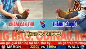 Trận 21 CPC5 15/11/2025 - Anh Chăm Cần Thơ Và Anh Thành Cầu Đỏ