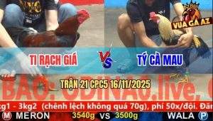 Trận 21 CPC5 16/11/2025 - Anh Ti Rạch Giá Và Anh Tý Cà Mau