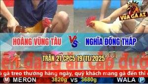 Trận 21 CPC5 19/11/2025 - Gà Xám Anh Hoàng Sút Úa Tắt Điện Mau Lẹ