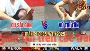 Trận 21 CPC5 4/11/2025 - Anh Cu Sài Gòn Và Anh Vũ Trí Tôn