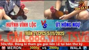 Trận 21 CPC5 5/11/2025 - Anh Huỳnh Vĩnh Lộc Và Anh Út Hồng Ngự