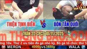 Trận 22 CPC5 10/11/2025 - Anh Thiện Tịnh Biên Và Anh Bốn Tân Quới
