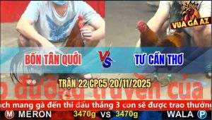 Trận 22 CPC5 20/11/2025 - Điều Chân Trắng Anh Bốn Đá Gà Anh Tư Ê Mình