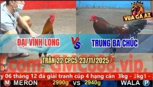 Trận 22 CPC5 23/11/2025 - Điều Xanh Đá Chân Nào Cũng Là Án Tử