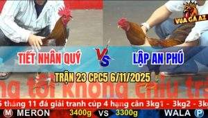 Trận 23 CPC5 6/11/2025 - Xám Mồng Lá Anh Tiết Nhân Quý Đâm Như Chỉa