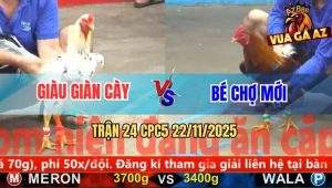 Trận 24 CPC5 22/11/2025 - Gà Điều Anh Bé Kém 3 Chấm Đâm Bướm Lật Xe