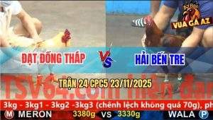 Trận 24 CPC5 23/11/2025 - Điều Chân Xanh Anh Hải Đá Camelo Bại Liệt