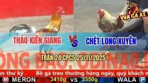 Trận 24 CPC5 25/11/2025 - Xám Son Mặt Râu Anh Thảo Bá Vô Là Tính Tiền