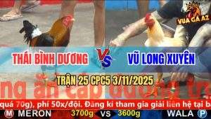 Trận 25 CPC5 3/11/2025 - Anh Thái Bình Dương Và Anh Vũ Long Xuyên