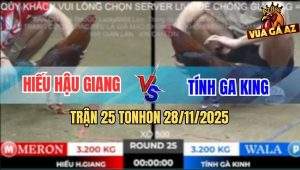 Trận 25 TonHon 28/11/2025 - Gà Anh Tính Ga King Chưa Kịp Đá Đã Bay 500