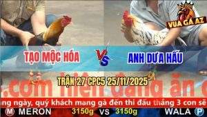 Trận 27 CPC5 25/11/2025 - Gà Bướm Anh Dưa Hấu Có Chân Chốt Hạ Gà Điều