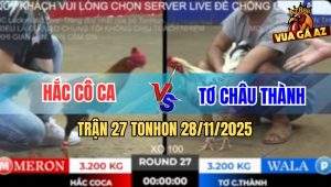 Trận 27 TonHon 28/11/2025 - Điều Mồng Lá Anh Hắc Co Ca Đâm Như Chỉa