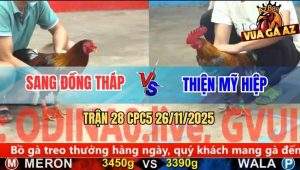 Trận 28 CPC5 26/11/2025 - Cú Kêu Điều Đập Cánh Giãy Chết