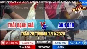 Trận 28 TonHon 2/11/2025 - Xanh Mẻ Hiệu Anh Tính GaKing Đâm Cựa Quá Ác