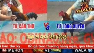 Trận 29 CPC5 18/11/2025 - Xanh Chặn Hay Đỏ Hư Cặp Giò Nằm Đập Cánh