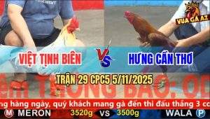 Trận 29 CPC5 5/11/2025 - Anh Việt Tịnh Biên Và Anh Hưng Cần Thơ