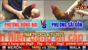Trận 29 CPC5 8/11/2025 - Anh Phương Đồng Nai Và Anh Phương Sài Gòn