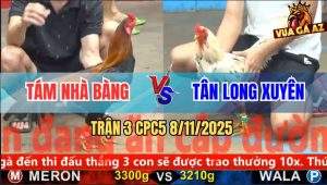 Trận 3 CPC5 8/11/2025 - Anh Tám Nhà Bàng Và Anh Tân Long Xuyên