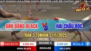 Trận 3 TonHon 2/11/2025 - Gà Úa Bẻ Chân Gà Vàng, Bảo Sting Hết Biết