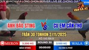 Trận 30 TonHon 2/11/2025 - Gà Khét Có Chân Xạo Lờ Hạ Gà Anh Bảo Sting