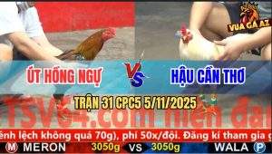 Trận 31 CPC5 5/11/2025 - Anh Út Hồng Ngự Và Anh Hậu Cần Thơ