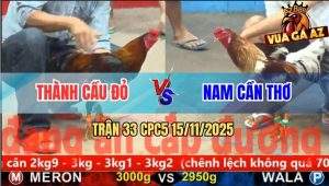 Trận 33 CPC5 15/11/2025 - Anh Thành Cầu Đỏ Và Anh Nam Cần Thơ