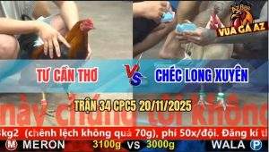 Trận 34 CPC5 20/11/2025 - Úa Chân Trắng Gom Phiếu Đá 1 Tăng Tiền Về