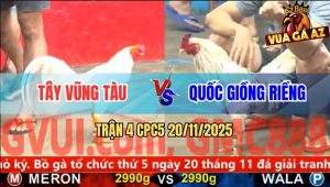 Trận 4 CPC5 20/11/2025 - Bướm Anh Quốc May Độ, Đâm Úa Phá Đôi Tai Biến
