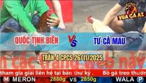 Trận 4 CPC5 26/11/2025 - Gà Điều Anh Quốc Tiễn Gà Bướm Về Trời