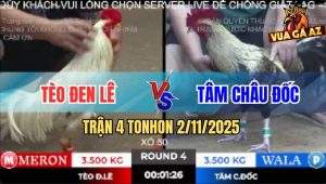 Trận 4 TonHon 2/11/2025 - Gà Bướm Anh Tèo Bú Cây Lưng Chuối Chín Rụng