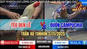Trận 40 TonHon 2/11/2025 - Bướm Hiệu Bảo Sting Tắt Điện Sau 2 Tay Nước