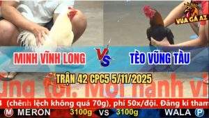 Trận 42 CPC5 5/11/2025 - Anh Minh Vĩnh Long Và Anh Tèo Vũng Tàu
