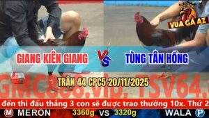 Trận 44 CPC5 20/11/2025 - Điều Cọp Anh Giang Dập Như Máy Khâu