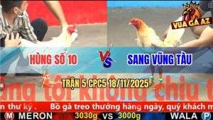 Trận 5 CPC5 18/11/2025 - Đám Bướm Vũng Tàu Đâm Cựa Như Cái Máy