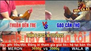 Trận 6 CPC5 16/11/2025 - Anh Thuận Bến Tre Và Anh Gạo Cần Thơ