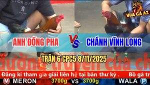 Trận 6 CPC5 8/11/2025 - Anh Đông Pha Và Anh Chánh Vĩnh Long