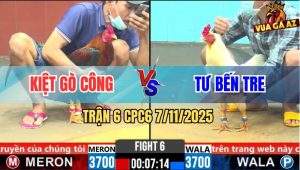 Trận 6 CPC6 7/11/2025 - Gà Điều Anh Kiệt Có Chân Phản, Biện Đứt Gánh