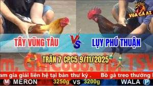 Trận 7 CPC5 9/11/2025 - Anh Tây Vũng Tàu Và Anh Lụy Phú Thuận