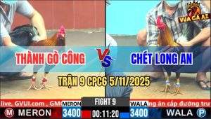 Trận 9 CPC6 5/11/2025 - Điều Chân Vàng Đâm Cây Hiểm Xanh Lọt Chết Tươi